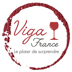 viga-france.fr